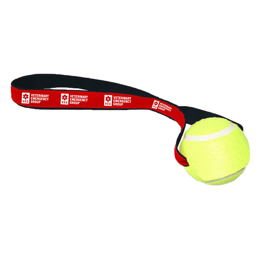 Tennis Ball Toss Toy