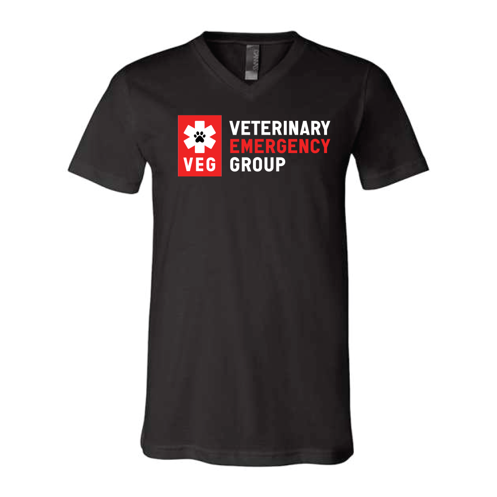 V-Neck T-Shirt (Unisex)