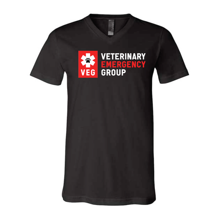 V-Neck T-Shirt (Unisex)